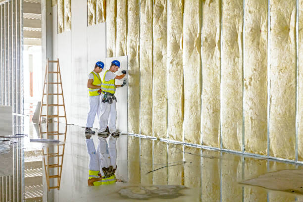 Best Insulation Installation Services in Golden Hills, CA